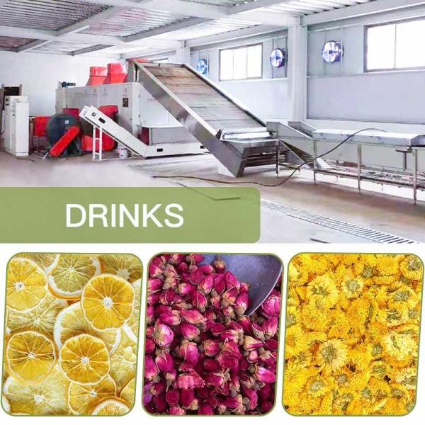 SGS Continuous Belt Dryer Machine Dehumidification