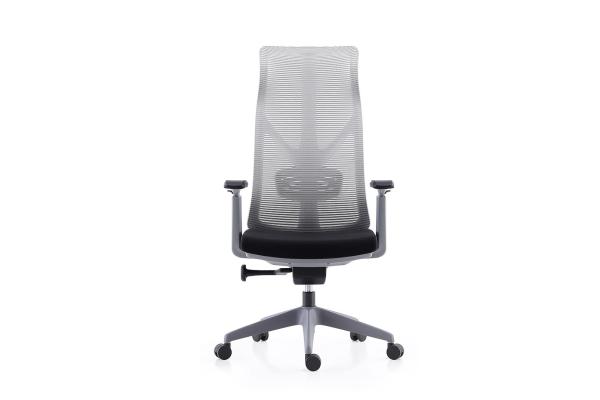 BAILI Mesh Swivel Office Chair 15.2KG With Lumar Support And Footrest