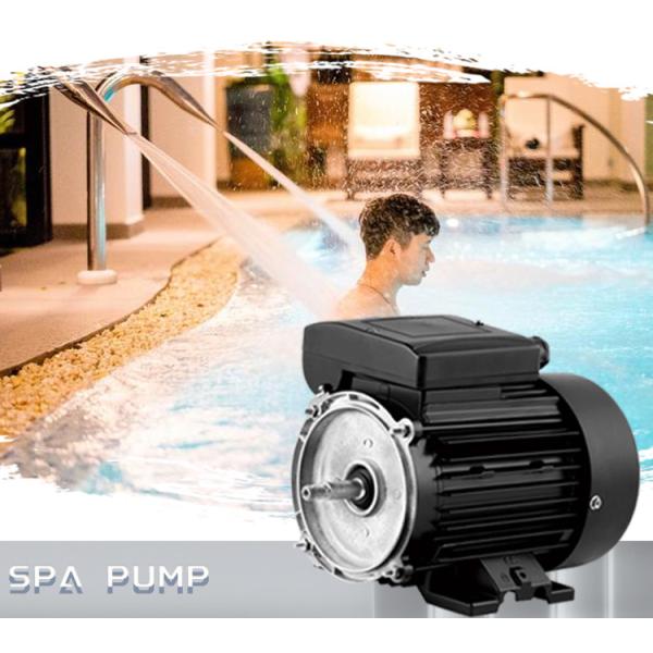 Moteur asynchrone monophasé en aluminium étanche pour pompe de piscine 1500 tr/min 220V 50/60Hz