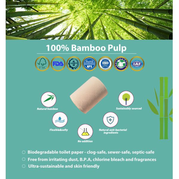 Professional Bulk Individually Wrapped Essential Soft Toilet Paper for Business Use