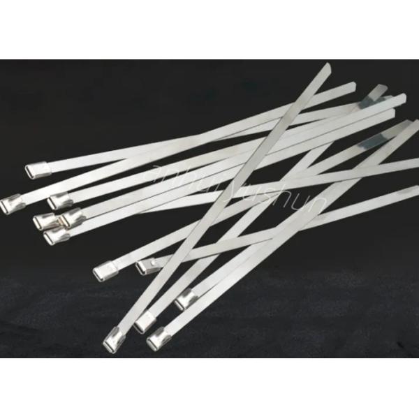 Adjustable 304SS Stainless Steel Cable Ties 300mm OEM