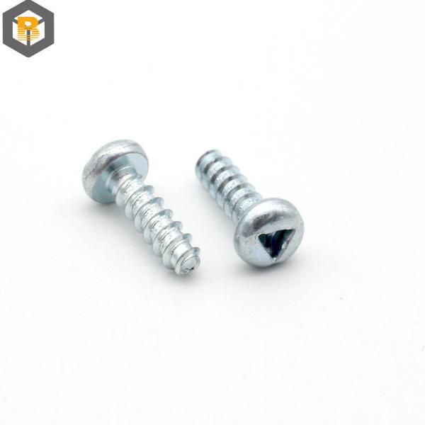 Polishing Special Applications Security Fasteners BY-0515 for Customized Electric Appliance