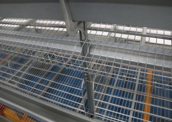 Automatic Layer Poultry Farming Equipment System  Easy Operation 1950×460×420 Mm