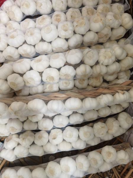 Natural Prepacks Fresh Pure White Garlic and normal white fresh garlic