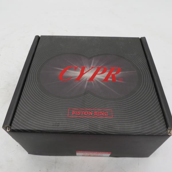 Best price Piston ring 612600030058