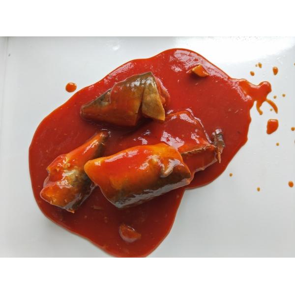 Продайте законсервированные сардин оптом в (горячем) томатном соусе 50 кс 155г