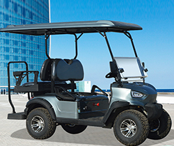 Electric Golf Cart Batteries Trolley Bags and Equipped Standing Postion of Tail Caddie