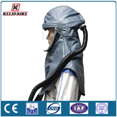 Factory Price Papr Powered Air Purifying Respirator with Hood