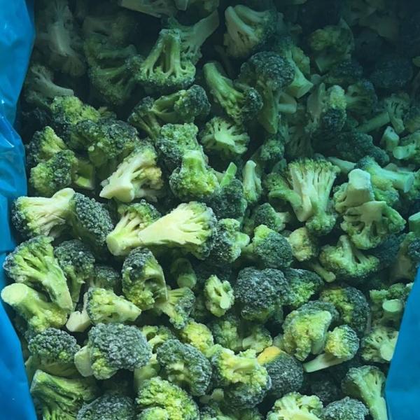 High Quality IQF Frozen Broccoli Ready Stock for Restaurants Wholesale Price