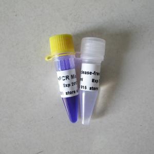Optimus Hot Start Taq Polymerase 1000U PCR Reagent High Specificity P1042