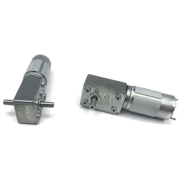 Customized Manufacturer FT-46SGM395-69K 12V Micro DC Gear Motor 24V Worm Gear Motor