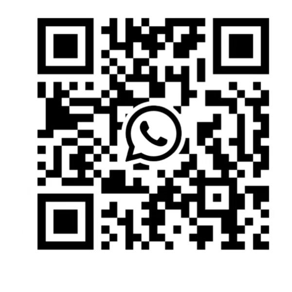 BYD Pure Electric e3 Exam Special Vehicle with a Range of 350KM