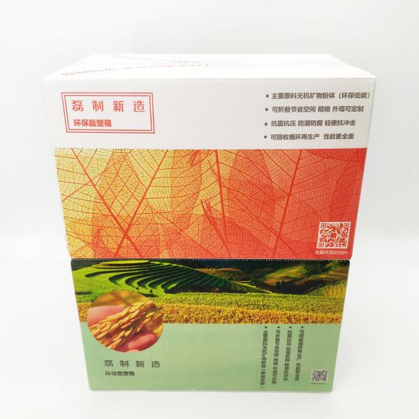 Agricultural Products Flexo Corrugated Vegetable Boxes Packaging