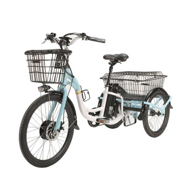 Electric Delivery Cargo Tricycle E-bike 3 Wheel Suspension Disc Brake Aluminum Fork