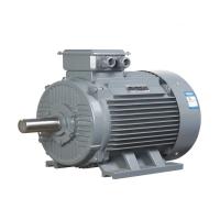 Poids léger de petite taille 3 moteur de la phase PMSM pour le remplacement de moteur à induction