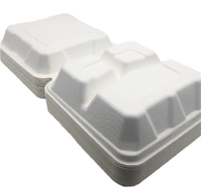 Bento Petroleum Free 8 ×8” biodegradável remove caixas