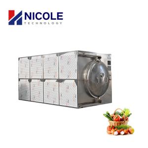 Microwave Vacuum Dryer