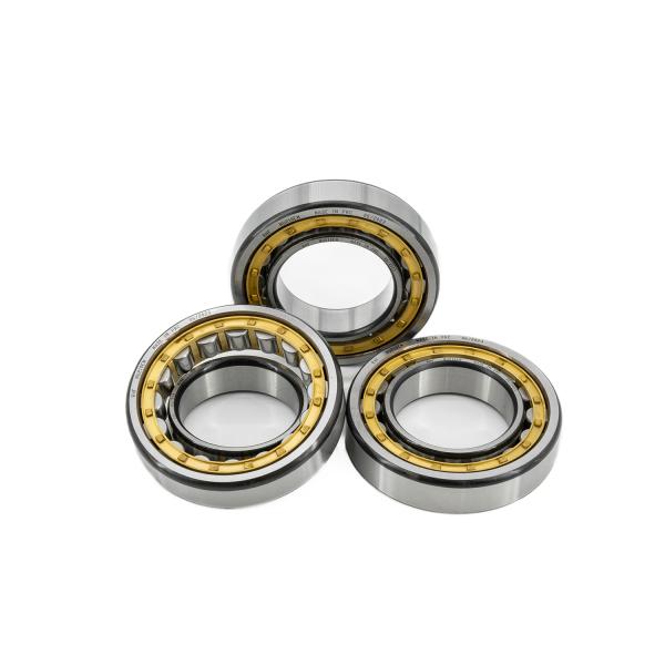Product Category Single Row Cylindrical Roller Bearings NJ305 NJ306 NJ307 NJ308 NJ309
