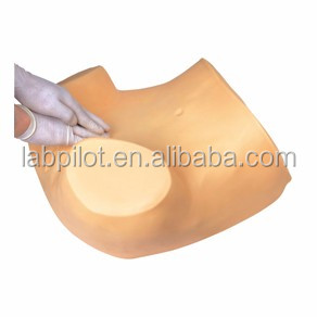 PVC Palpation Gynecological Examination Training Manikin with Contraception Function