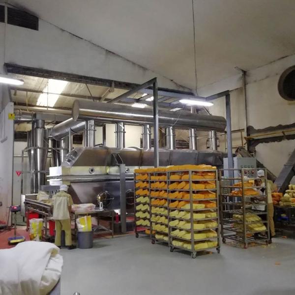 Équipement de production vibrant de poudre de nutrition de dessiccateur de lit fluidisé d'acier inoxydable