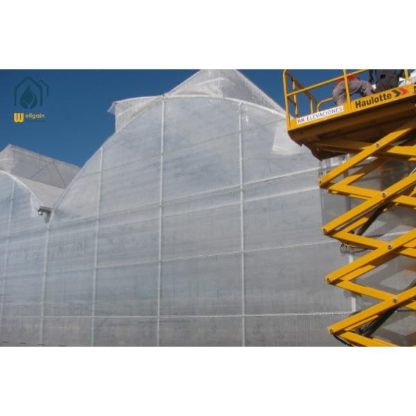 Large Polyethylene Film Greenhouse Transparent Horticulture Greenhouse Customized