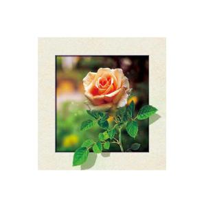 Lenticular Printing Services