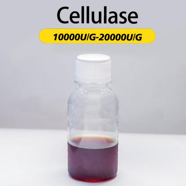 10000U/g de cellulase commerciale pour l'extraction de jus de vigne