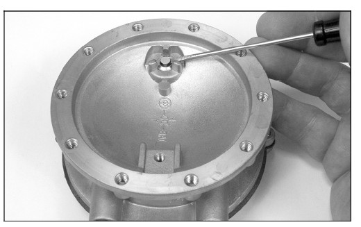 Hydrin Diaphragm RK VFF30 Lockoff IMPCO Repair Kits