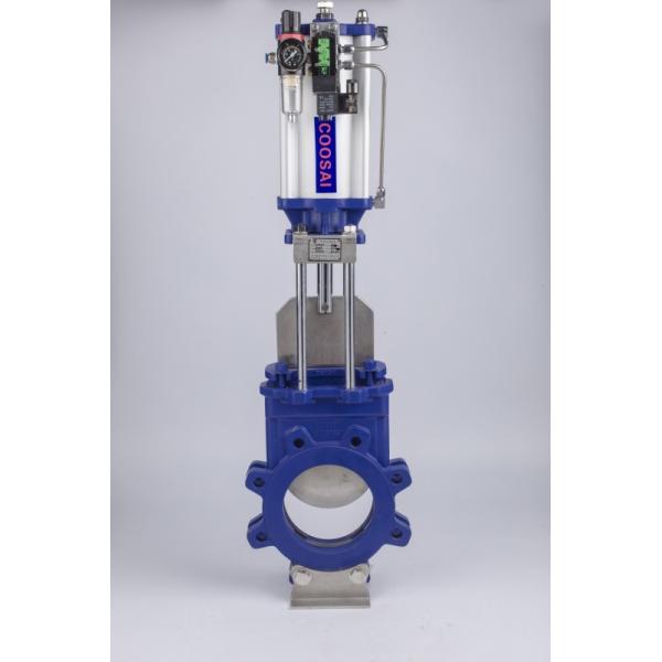 Double Acting Pneumatic Gate Valve with Double Acting Design Carbon Steel