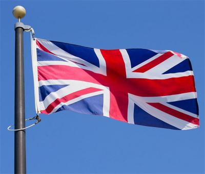 3x5 foot National Country Flag Customized Color for celebration
