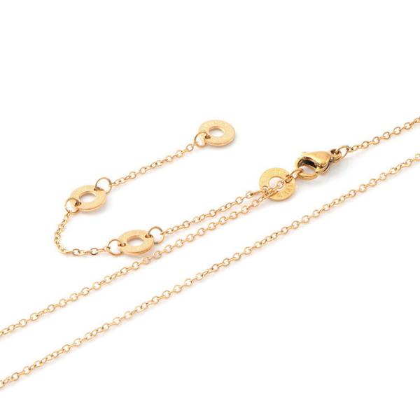 Gold stainless steel necklace, light luxury, niche high-end collarbone necklace, temperament, women's high-end design, collarbone chain, new style