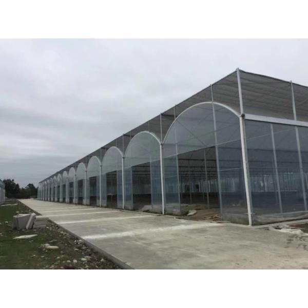 Estufas da tecnologia do jogo da estufa do filme de polietileno do berçário da planta/exploração agrícola