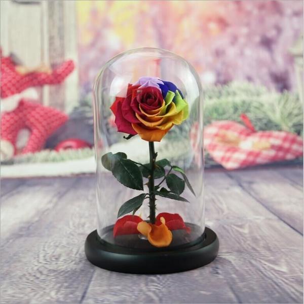 Real Natural Fresh Big Rose Preserved Flower Preserved Everlasting Real Roses in Glass Dome for Sale