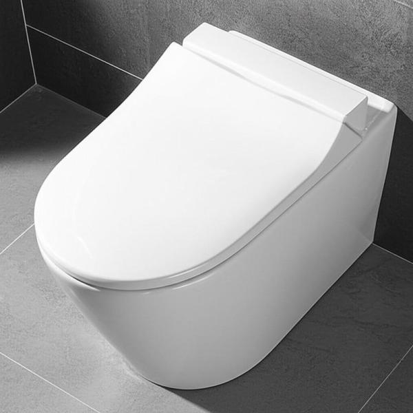 Toilet WC siphonique de luxe pour salle de bain, sanitaire de luxe, WC monobloc