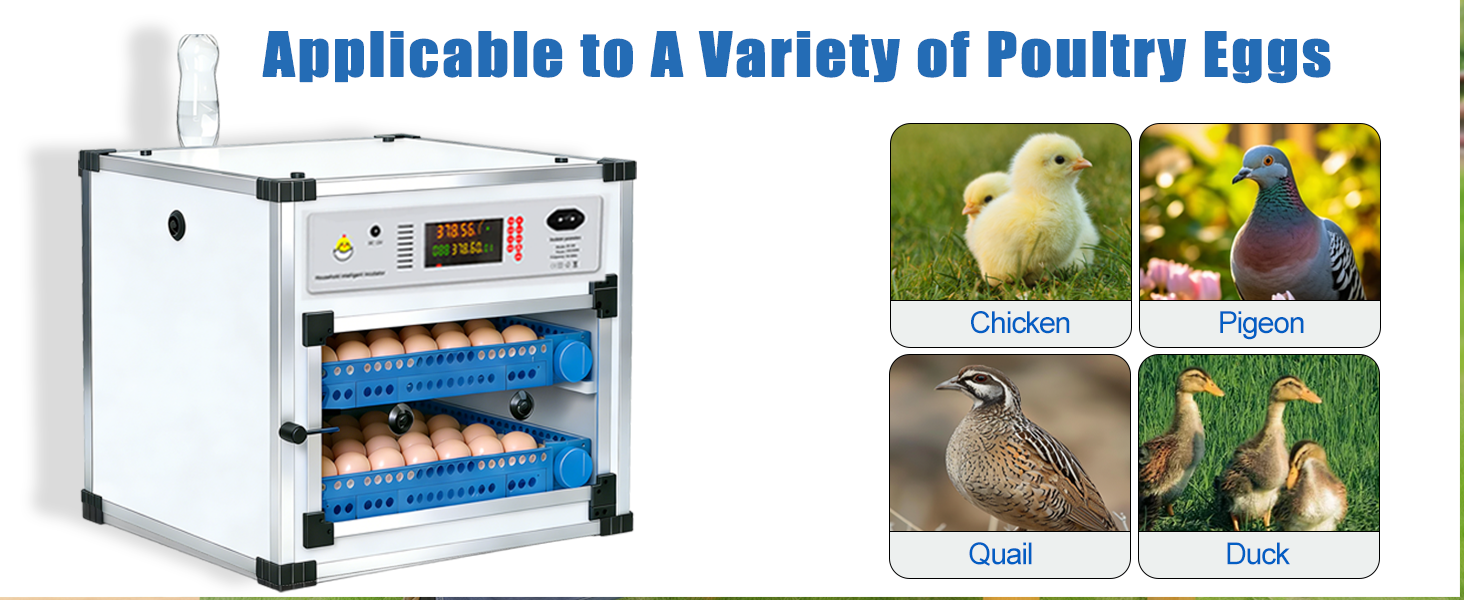 Automatic 136 Eggs Egg Incubator With Auto Turner, Digital Temperature Humidity Control & Water Refill, Incubators For Hatching Eggs For Chicken Duck Goose Pigeon Eggs