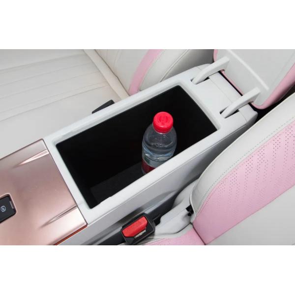 Customization Geely Geometry E 2023 401km Pink Special 5-Seater EV SUV 4006*1765*1550