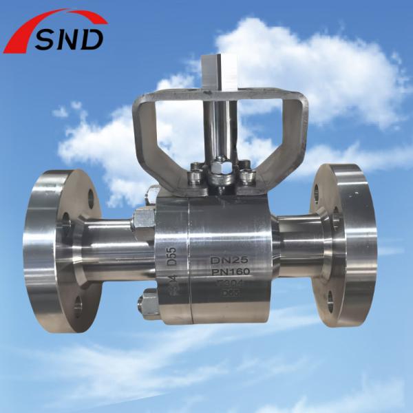 DN25 PN160 304  Steel Ball Valves Lower Temperature D55