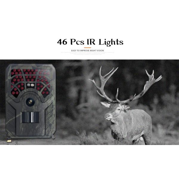 Caméra extérieure Wifi IP56 sans fil de faune de vision nocturne de la caméra 32MP 1296P de chasse de PR300C WIFI