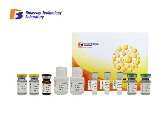 Strong Sensitivity SDC1 ELISA Assay Kit Rabbit Syndecan-1 Sandwich ELISA Kit With Oem Service