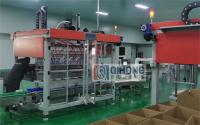 5 cabeças Máquina automática de embalagem de caixas, 25 caixas/min Para embalagem de caixas de cerveja