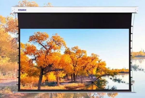Long Throw ALR Fabric Large Electrical Projection Screens High Strength frame