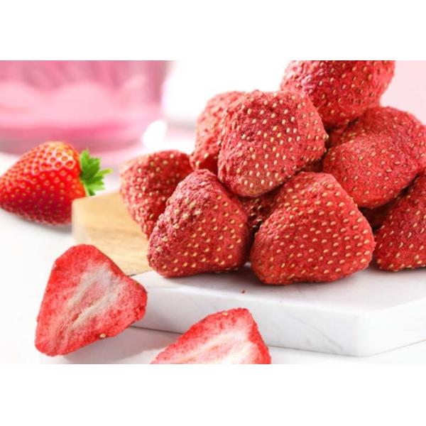 Sublimation Industrial Food Vacuum Freeze Dryer Air Cooling