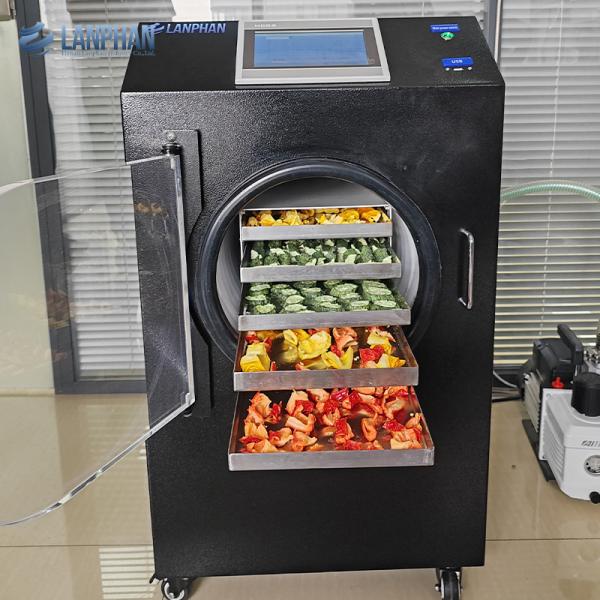 Home 4-6kg Freeze Dryer Lyophilizer Freeze Dryer Machine for Food