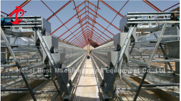 Capa galvanizada caliente del buen precio que cultiva el tipo venta Adela del sistema A de la jaula