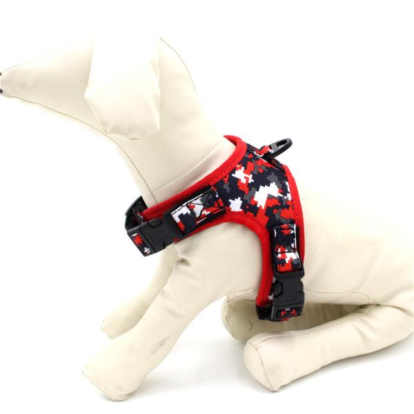 Pet Baby Dog Collars And Harnesses / Safe Dog Walking Collars Lightweight