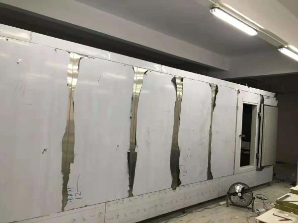1000 Kg/H 1800 Kg/H Blast Tunnel Freezer Shock Freezing Technology For Flower 24kw
