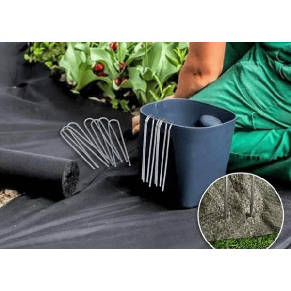 Des grappes de paysage galvanisées en forme de U