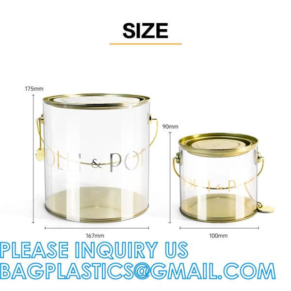 Plastic Tin Cans, For Crafts, Decorating, Baby/Wedding Shower Decor, Quart Size Clear Plastic Paint Cans