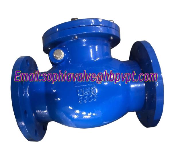 Design standard DIN GG25 metal seal cast iron check valve