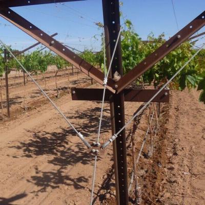 Assemblage d'élingue en câble d'acier de 6,35 mm pour treillis de vigne avec accessoires